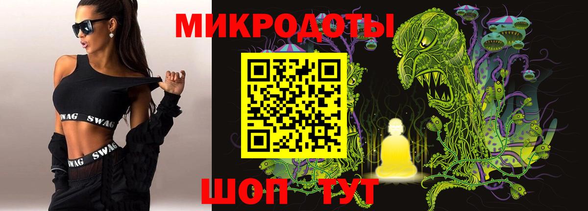 Канаш  Псилоцибиновые грибы Psilocybe  Вход с VPN  Псилоцибиновые грибы ЛСД 