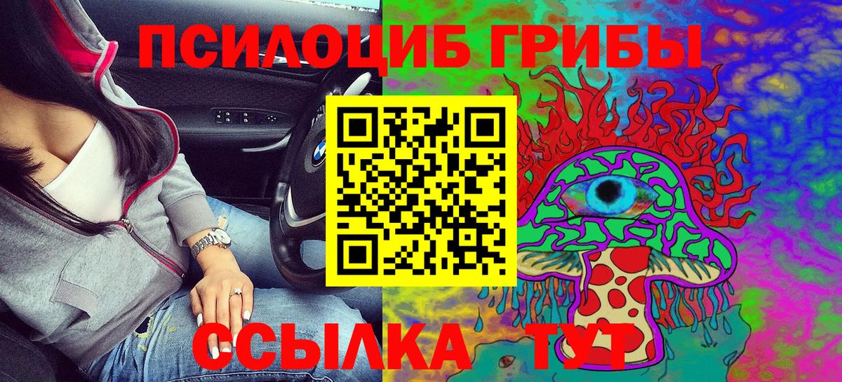 Галлюциногенные грибы Cubensis Канаш