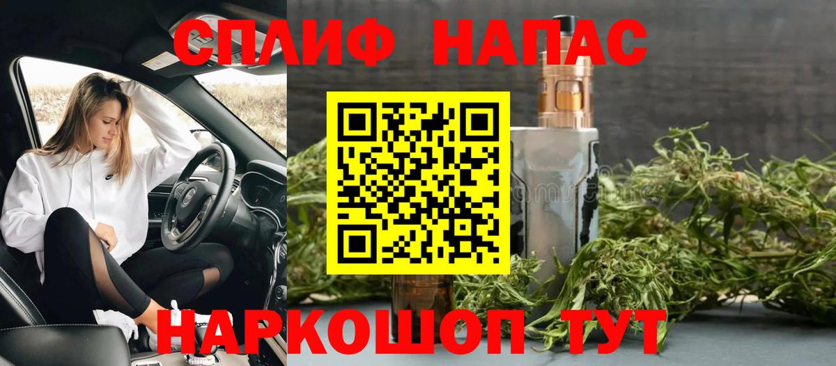 Конопля сатива Канаш